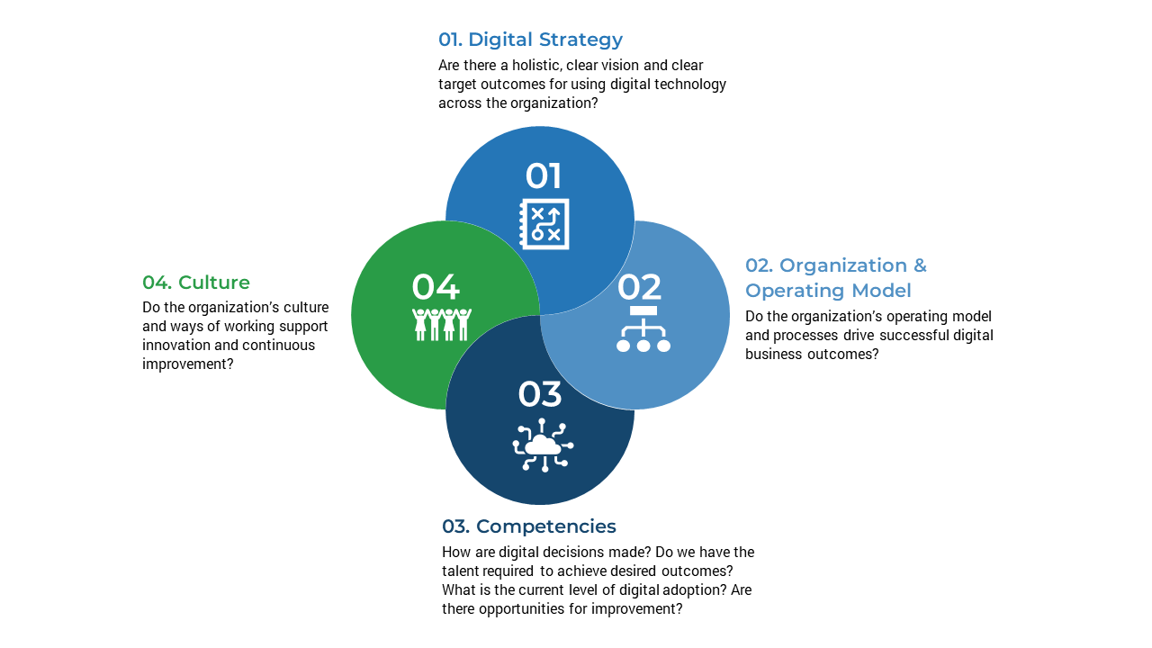 Digital Maturity Assessment